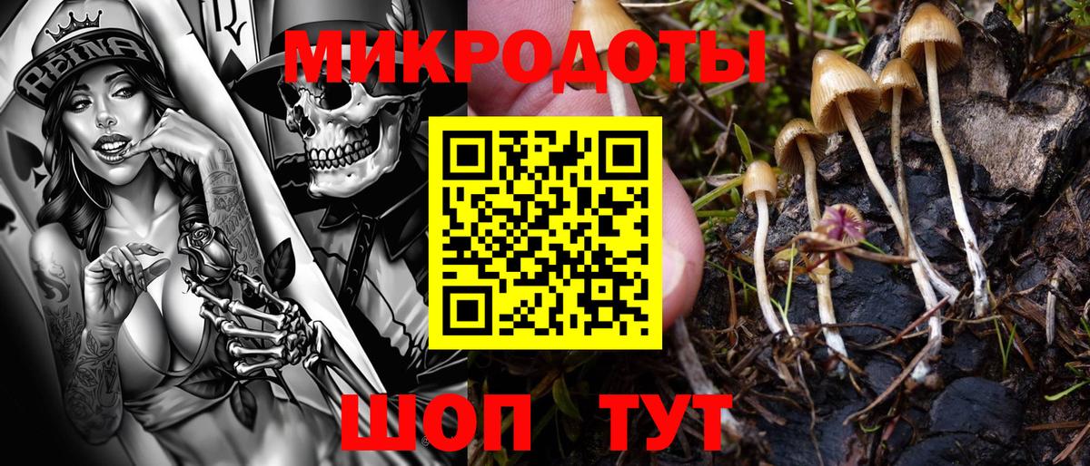 Псилоцибиновые грибы Cubensis Алексин