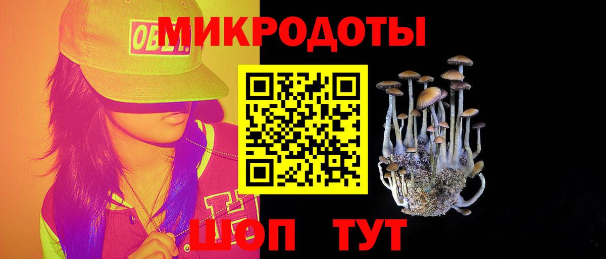 Псилоцибиновые грибы прущие грибы  Псилоцибиновые грибы прущие грибы  Вход с VPN  Алексин 
